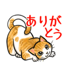 日本猫たち（個別スタンプ：9）