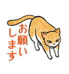 日本猫たち（個別スタンプ：12）