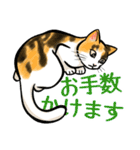 日本猫たち（個別スタンプ：17）