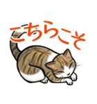 日本猫たち（個別スタンプ：18）