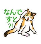 日本猫たち（個別スタンプ：22）