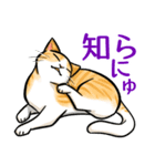 日本猫たち（個別スタンプ：33）