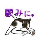 日本猫たち（個別スタンプ：35）