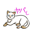 日本猫たち（個別スタンプ：37）