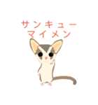 ねむいねこ ごあいさつ（個別スタンプ：40）