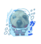 今日も頑張るテンたん（個別スタンプ：6）