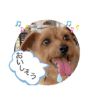 今日も頑張るテンたん（個別スタンプ：19）