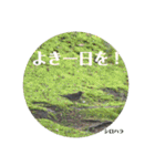 nanda birds（個別スタンプ：24）