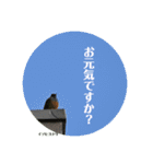 nanda birds（個別スタンプ：26）