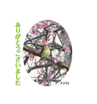 nanda birds（個別スタンプ：36）