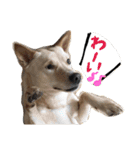 きららのひと言 2（個別スタンプ：1）