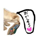 きららのひと言 2（個別スタンプ：3）