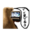 きららのひと言 2（個別スタンプ：4）