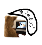 きららのひと言 2（個別スタンプ：5）