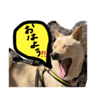 きららのひと言 2（個別スタンプ：8）