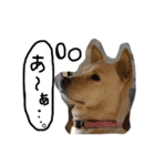 きららのひと言 2（個別スタンプ：9）