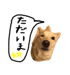 きららのひと言 2（個別スタンプ：11）
