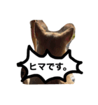 きららのひと言 2（個別スタンプ：12）