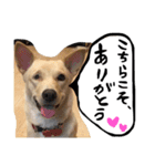 きららのひと言 2（個別スタンプ：15）