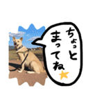 きららのひと言 2（個別スタンプ：16）