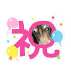 ちゅりんぼ春（個別スタンプ：2）