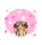 ちゅりんぼ春（個別スタンプ：7）