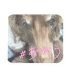 ちゅりんぼ春（個別スタンプ：8）