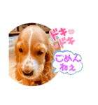 イングリッシュ・Cのノアちゃん日常（個別スタンプ：3）