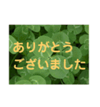 写真deあいさつ〜植物〜（個別スタンプ：2）