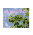 写真deあいさつ〜植物〜（個別スタンプ：3）