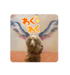 春 ダックス（個別スタンプ：8）