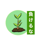大自然応援ブラザーズ（個別スタンプ：1）