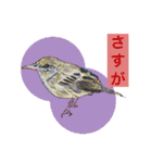 大自然応援ブラザーズ（個別スタンプ：5）