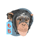 大自然応援ブラザーズ（個別スタンプ：7）