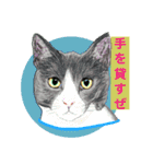 大自然応援ブラザーズ（個別スタンプ：9）