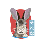 大自然応援ブラザーズ（個別スタンプ：10）