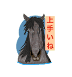 大自然応援ブラザーズ（個別スタンプ：12）