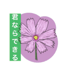 大自然応援ブラザーズ（個別スタンプ：13）