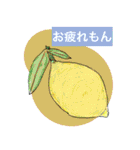 大自然応援ブラザーズ（個別スタンプ：16）