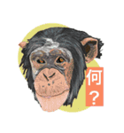 大自然応援ブラザーズ（個別スタンプ：21）