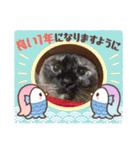 3匹ニャンコとお友達ワンコ風景画像（個別スタンプ：6）