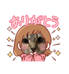 3匹ニャンコとお友達ワンコ風景画像（個別スタンプ：19）