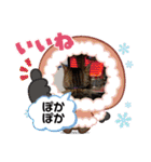 3匹ニャンコとお友達ワンコ風景画像（個別スタンプ：38）