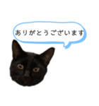 お礼とか合いの手そんなワード（個別スタンプ：2）
