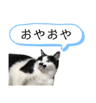 お礼とか合いの手そんなワード（個別スタンプ：14）