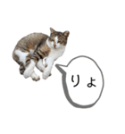 お礼とか合いの手そんなワード（個別スタンプ：18）