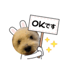 白シュナ ジャッキー 2（個別スタンプ：4）