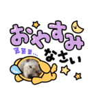 白シュナ ジャッキー 2（個別スタンプ：6）