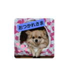 ちよっちゃん（個別スタンプ：16）