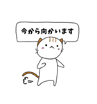 毎日使える敬語スタンプ ねこ（個別スタンプ：18）